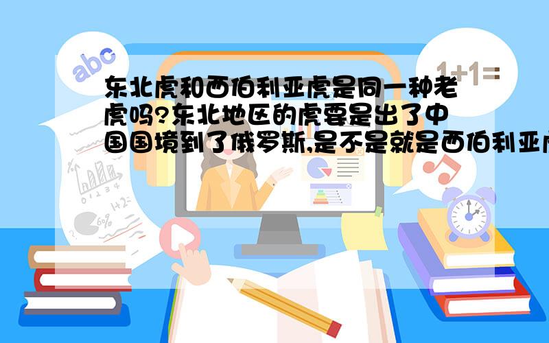 东北虎和西伯利亚虎是同一种老虎吗?东北地区的虎要是出了中国国境到了俄罗斯,是不是就是西伯利亚虎了?