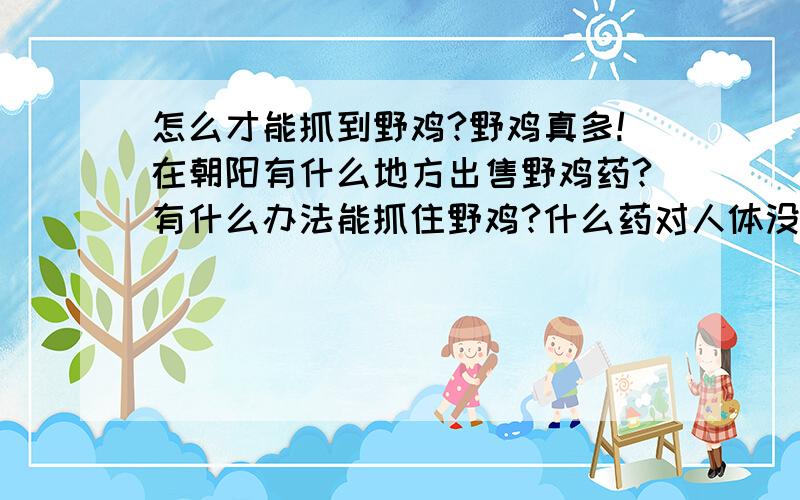 怎么才能抓到野鸡?野鸡真多!在朝阳有什么地方出售野鸡药?有什么办法能抓住野鸡?什么药对人体没有伤害?