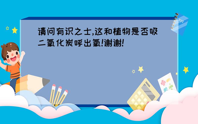 请问有识之士,这和植物是否吸二氧化炭呼出氧!谢谢!