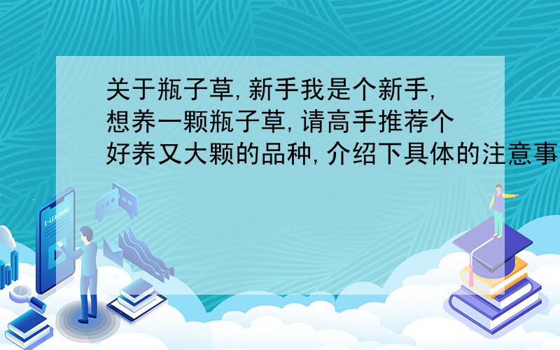 关于瓶子草,新手我是个新手,想养一颗瓶子草,请高手推荐个好养又大颗的品种,介绍下具体的注意事项,越全越好,