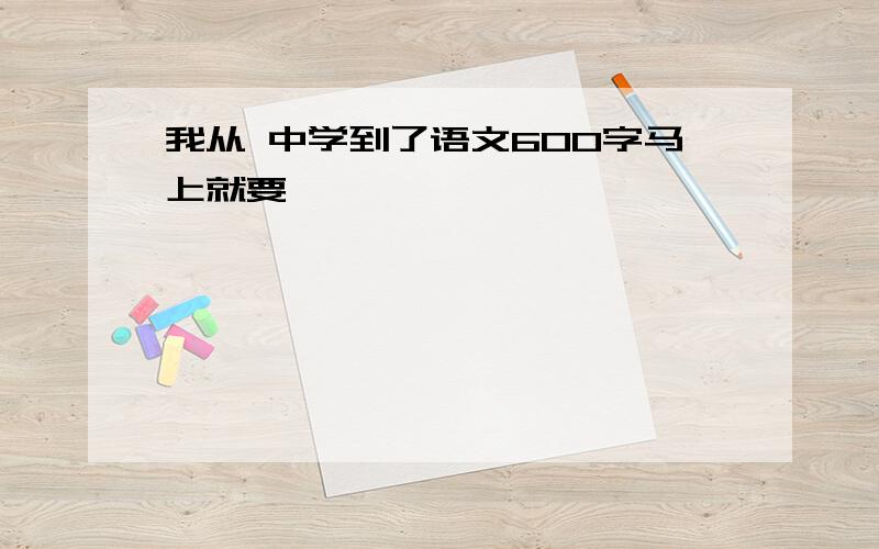 我从 中学到了语文600字马上就要