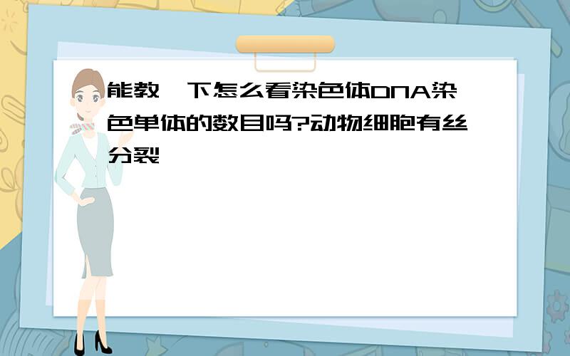 能教一下怎么看染色体DNA染色单体的数目吗?动物细胞有丝分裂