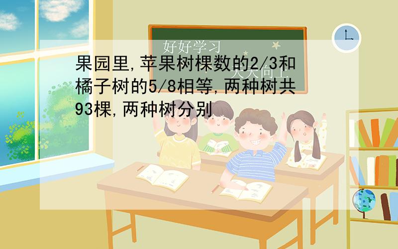 果园里,苹果树棵数的2/3和橘子树的5/8相等,两种树共93棵,两种树分别