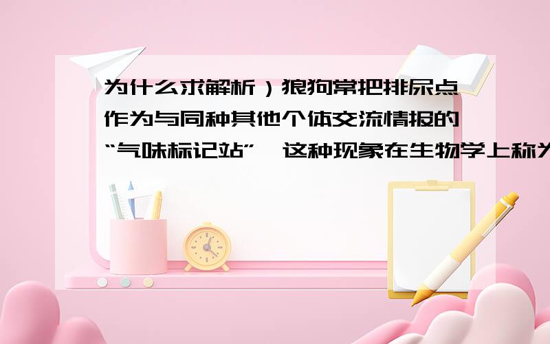 为什么求解析）狼狗常把排尿点作为与同种其他个体交流情报的“气味标记站”,这种现象在生物学上称为什么?A.种内斗争B.种内互助C.种间斗争D.种间互助