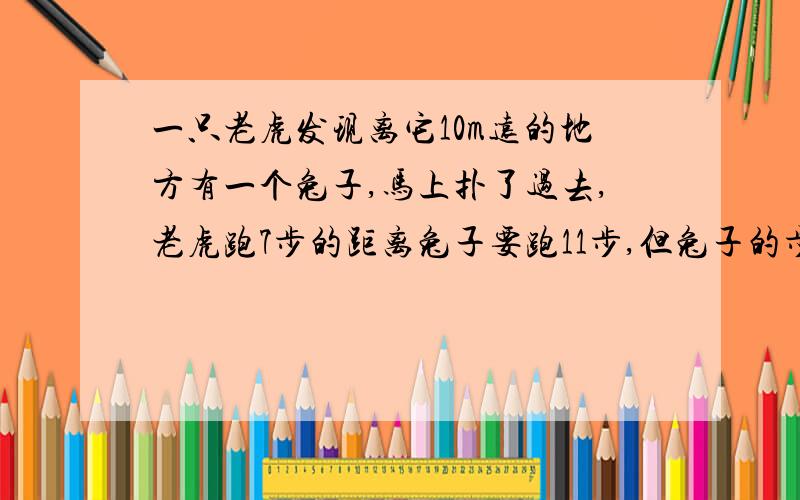 一只老虎发现离它10m远的地方有一个兔子,马上扑了过去,老虎跑7步的距离兔子要跑11步,但兔子的步子密,老虎跑3步的时间兔子能跑4步.问：老虎是否能追上兔子?如何追上,要跑多远的路?