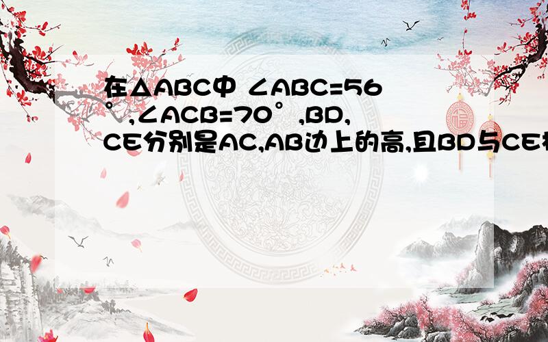 在△ABC中 ∠ABC=56°,∠ACB=70°,BD,CE分别是AC,AB边上的高,且BD与CE相交于点O,求∠A及∠BOC的度数.