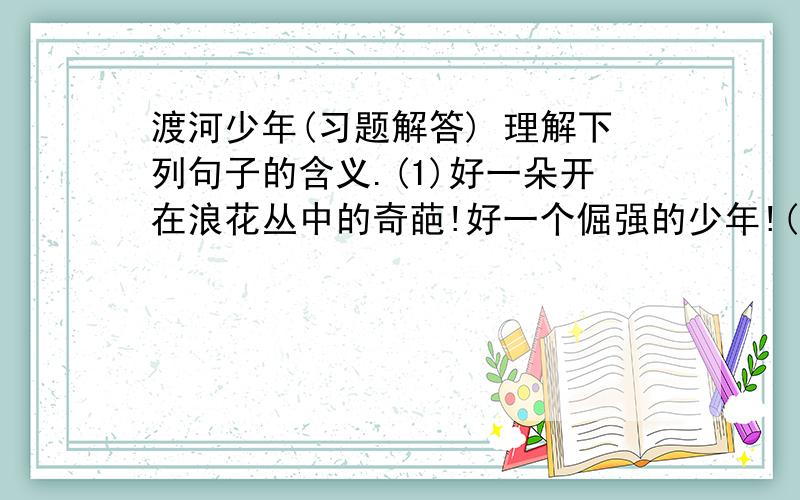 渡河少年(习题解答) 理解下列句子的含义.(1)好一朵开在浪花丛中的奇葩!好一个倔强的少年!(2)河边的河滩上,留下了一条长长的水线,像一条无限延长的省略号.