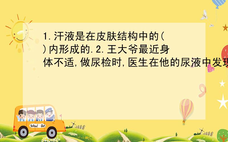 1.汗液是在皮肤结构中的( )内形成的.2.王大爷最近身体不适,做尿检时,医生在他的尿液中发现了血细胞和蛋白质,可能是他肾脏中的（ ）发生了病变；医生对他进行静脉注射青霉素等药物治疗,