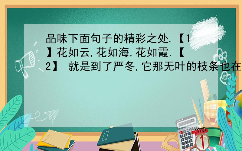 品味下面句子的精彩之处.【1】花如云,花如海,花如霞.【2】 就是到了严冬,它那无叶的枝条也在孕育着一个春天的花潮.