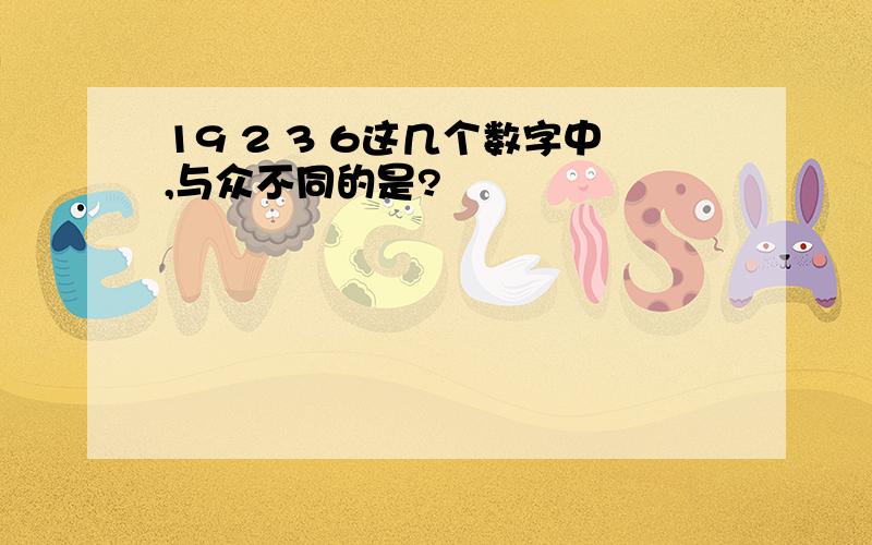 19 2 3 6这几个数字中,与众不同的是?