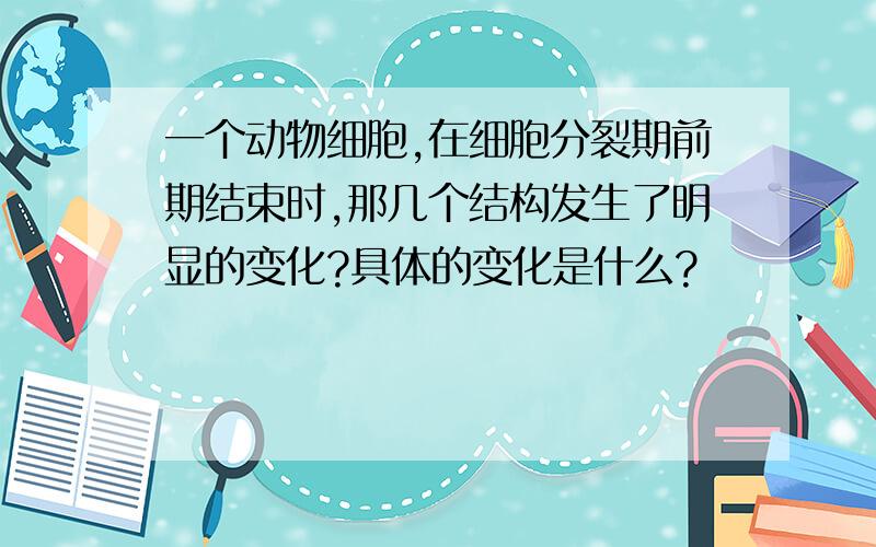 一个动物细胞,在细胞分裂期前期结束时,那几个结构发生了明显的变化?具体的变化是什么?