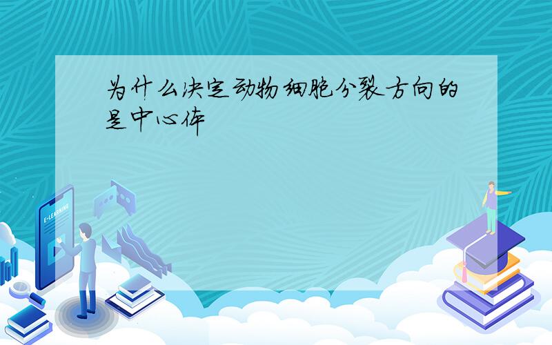 为什么决定动物细胞分裂方向的是中心体