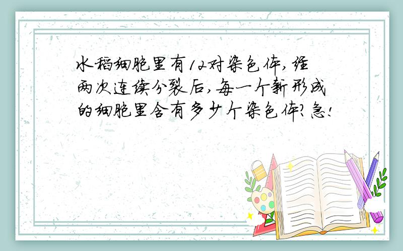 水稻细胞里有12对染色体,经两次连续分裂后,每一个新形成的细胞里含有多少个染色体?急!