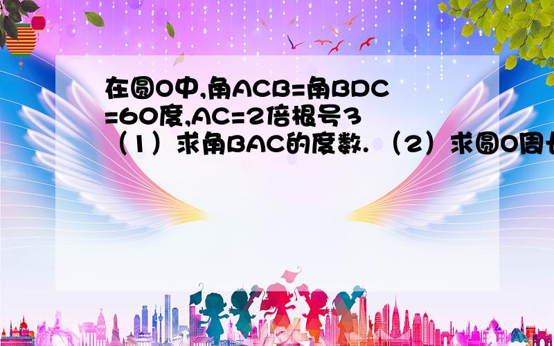 在圆O中,角ACB=角BDC=60度,AC=2倍根号3 （1）求角BAC的度数. （2）求圆O周长、