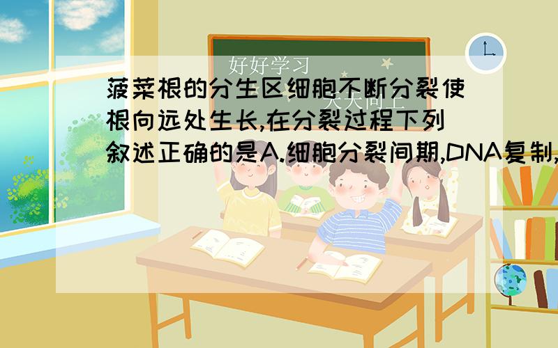 菠菜根的分生区细胞不断分裂使根向远处生长,在分裂过程下列叙述正确的是A.细胞分裂间期,DNA复制,DNA和染色体的数目增加一倍 B.细胞分裂前期,核膜和核仁逐渐消失,中心体发出星射线形成纺