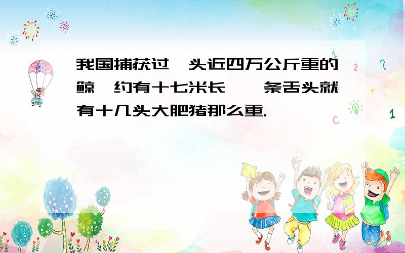 我国捕获过一头近四万公斤重的鲸,约有十七米长,一条舌头就有十几头大肥猪那么重.