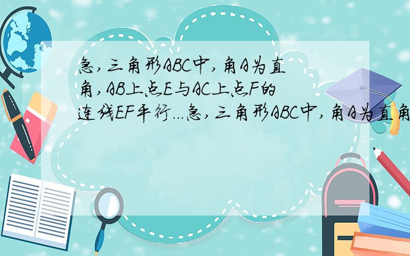 急,三角形ABC中,角A为直角,AB上点E与AC上点F的连线EF平行...急,三角形ABC中,角A为直角,AB上点E与AC上点F的连线EF平行于BC,现以A点为定点向右转动小三角形AEF,至三角形ABC与三角形AEF无重合区域,连C