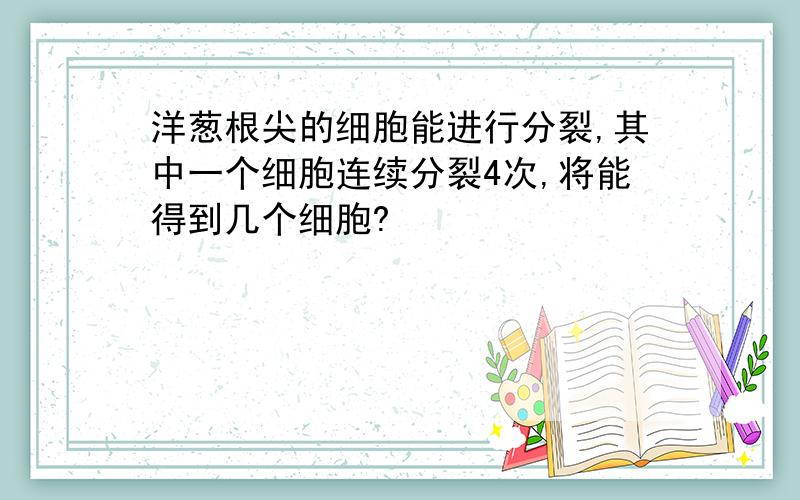 洋葱根尖的细胞能进行分裂,其中一个细胞连续分裂4次,将能得到几个细胞?