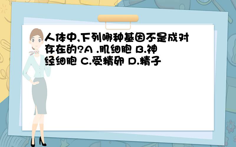 人体中,下列哪种基因不是成对存在的?A .肌细胞 B.神经细胞 C.受精卵 D.精子