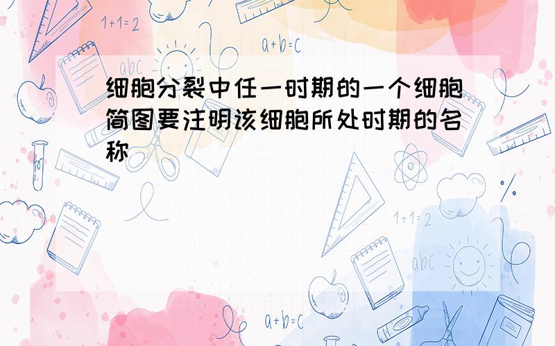 细胞分裂中任一时期的一个细胞简图要注明该细胞所处时期的名称