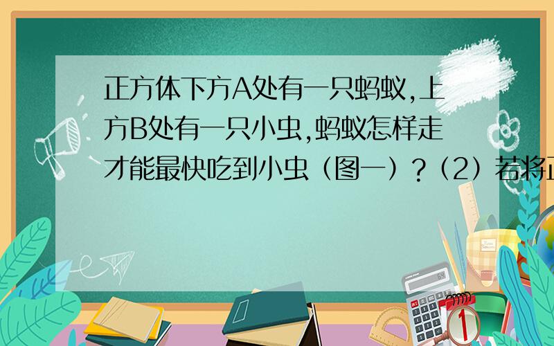 正方体下方A处有一只蚂蚁,上方B处有一只小虫,蚂蚁怎样走才能最快吃到小虫（图一）?（2）若将正方形改为长方体、圆锥、五棱锥,蚂蚁又应该走哪条路?