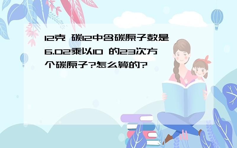 12克 碳12中含碳原子数是6.02乘以10 的23次方个碳原子?怎么算的?