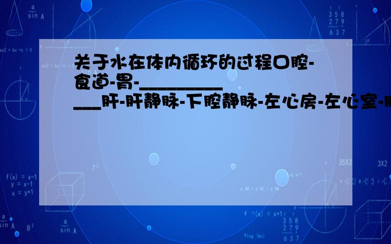 关于水在体内循环的过程口腔-食道-胃-____________肝-肝静脉-下腔静脉-左心房-左心室-肺动脉-肺部毛细血管-肺静脉-右心房-右心室-主动脉-身体各部分组织毛细血管-上下腔静脉-左心房-……-肾