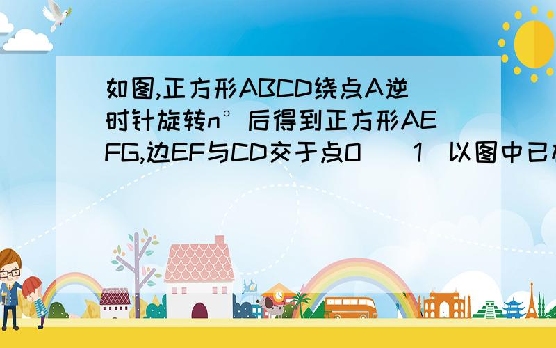 如图,正方形ABCD绕点A逆时针旋转n°后得到正方形AEFG,边EF与CD交于点O．（1）以图中已标有字母的点为端点连接两条线段（正方形的对角线除外）,要求所连接的两条线段相交且互相垂直,并说明