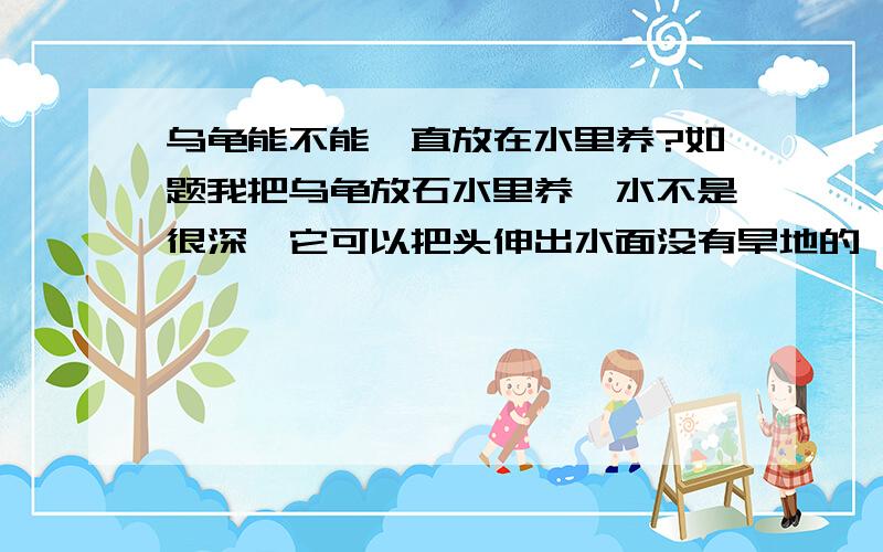 乌龟能不能一直放在水里养?如题我把乌龟放石水里养,水不是很深,它可以把头伸出水面没有旱地的,这样可以吗?有两只,拳头大小,要吃什么好?