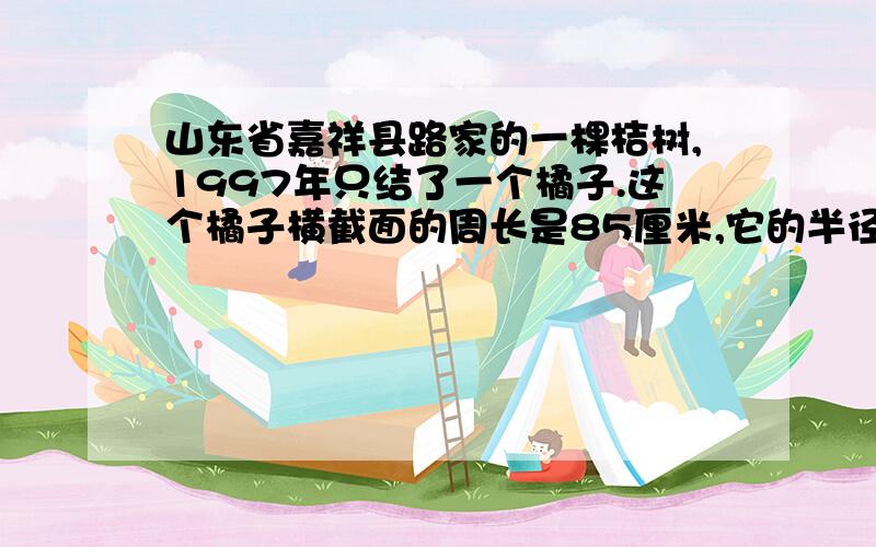 山东省嘉祥县路家的一棵桔树,1997年只结了一个橘子.这个橘子横截面的周长是85厘米,它的半径是多少?