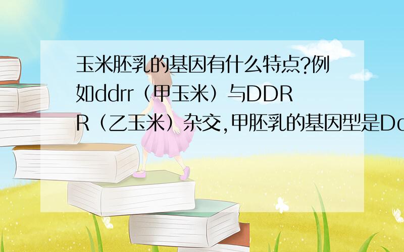 玉米胚乳的基因有什么特点?例如ddrr（甲玉米）与DDRR（乙玉米）杂交,甲胚乳的基因型是DddRrr.为什么?