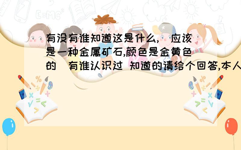 有没有谁知道这是什么,(应该是一种金属矿石,颜色是金黄色的)有谁认识过 知道的请给个回答,本人很感有没有谁知道这是什么,(应该是一种金属矿石,颜色是金黄色的)有谁认识过 知道的请给