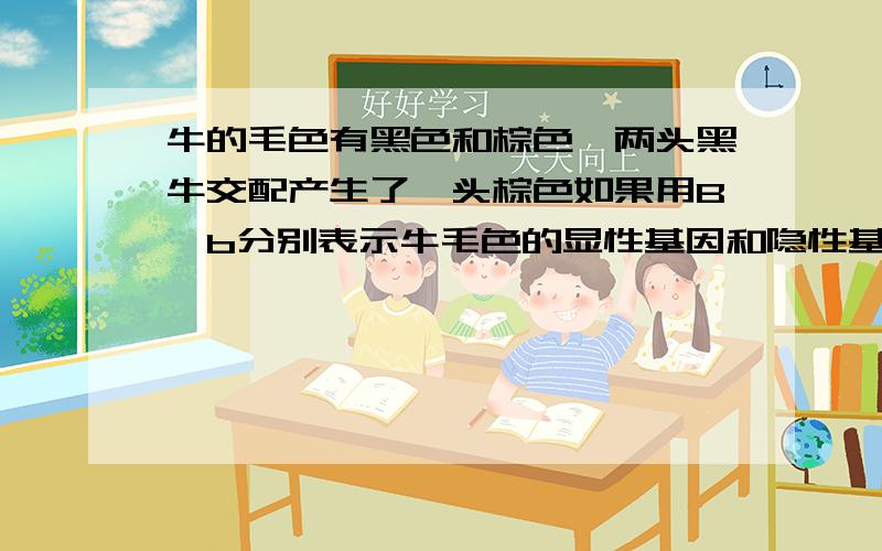 牛的毛色有黑色和棕色,两头黑牛交配产生了一头棕色如果用B、b分别表示牛毛色的显性基因和隐性基因,若甲栏牛为乙栏牛的后代,则甲栏牛的基因组成为 ,乙栏牛的基因组成为 .甲全是黑牛，