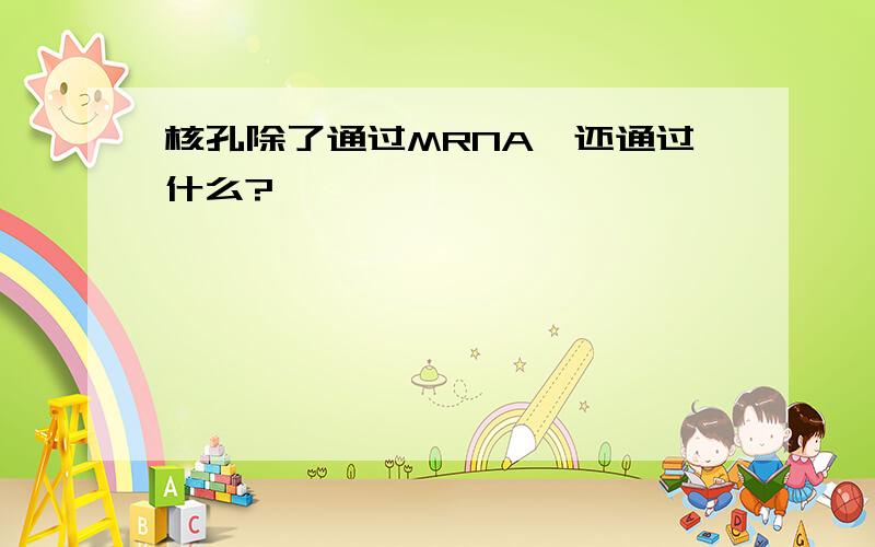 核孔除了通过MRNA,还通过什么?