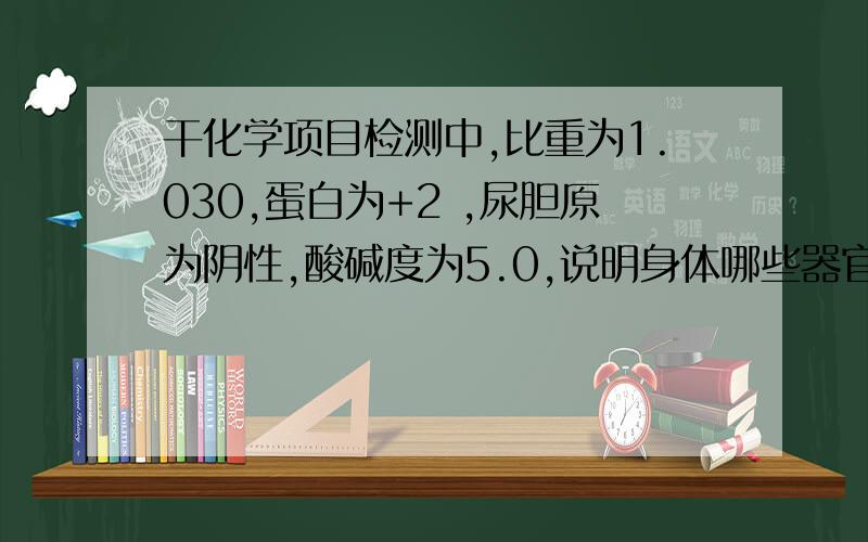 干化学项目检测中,比重为1.030,蛋白为+2 ,尿胆原为阴性,酸碱度为5.0,说明身体哪些器官有问题?