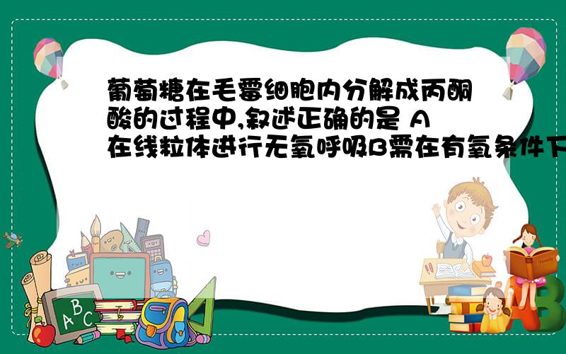 葡萄糖在毛霉细胞内分解成丙酮酸的过程中,叙述正确的是 A在线粒体进行无氧呼吸B需在有氧条件下进行C不产生CO2 D 反应速度不受温度影响