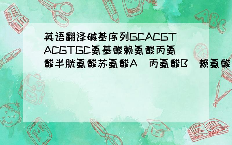 英语翻译碱基序列GCACGTACGTGC氨基酸赖氨酸丙氨酸半胱氨酸苏氨酸A．丙氨酸B．赖氨酸 C．苏氨酸 D．半胱氨酸