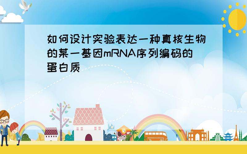 如何设计实验表达一种真核生物的某一基因mRNA序列编码的蛋白质