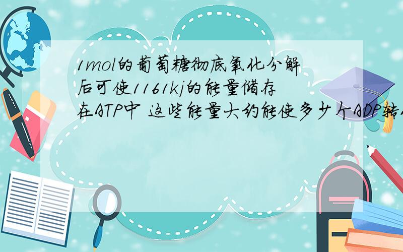 1mol的葡萄糖彻底氧化分解后可使1161kj的能量储存在ATP中 这些能量大约能使多少个ADP转化为ATP?能量转换率是多少?