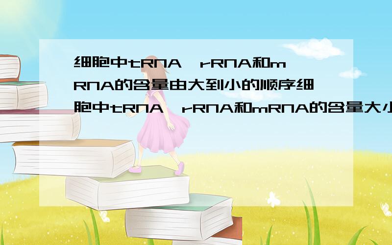 细胞中tRNA,rRNA和mRNA的含量由大到小的顺序细胞中tRNA,rRNA和mRNA的含量大小的比较顺序