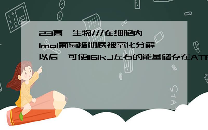 23高一生物///在细胞内,1mol葡萄糖彻底被氧化分解以后,可使1161kJ左右的能量储存在ATP中期于的能量则以热能的形式散失掉了.请你计算一下,有氧呼吸的能量转换效率大约是多少,这些能量大约