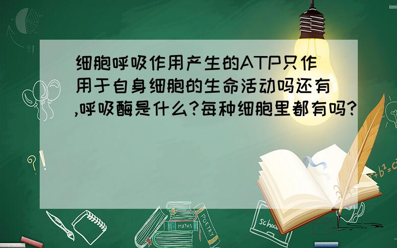 细胞呼吸作用产生的ATP只作用于自身细胞的生命活动吗还有,呼吸酶是什么?每种细胞里都有吗?