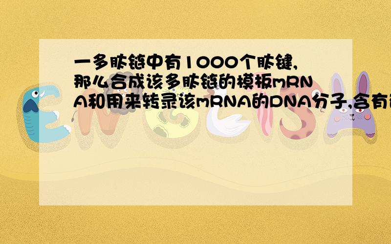 一多肽链中有1000个肽键,那么合成该多肽链的模板mRNA和用来转录该mRNA的DNA分子,含有碱基几个