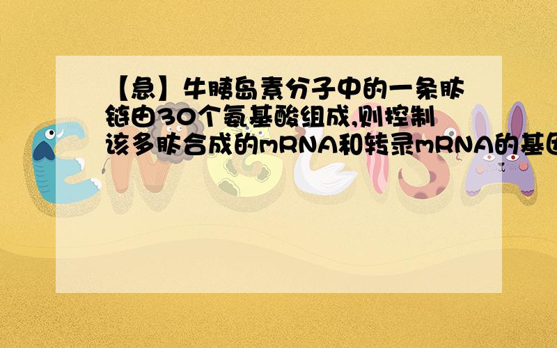 【急】牛胰岛素分子中的一条肽链由30个氨基酸组成,则控制该多肽合成的mRNA和转录mRNA的基因中的碱基的牛胰岛素分子中的一条肽链由30个氨基酸组成,则控制该多肽合成的mRNA和转录mRNA的基因