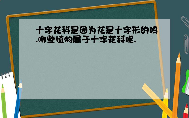 十字花科是因为花是十字形的吗.哪些植物属于十字花科呢.