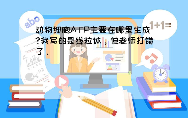 动物细胞ATP主要在哪里生成?我写的是线粒体，但老师打错了。