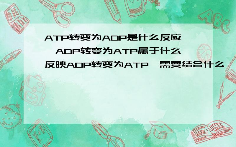 ATP转变为ADP是什么反应,ADP转变为ATP属于什么反映ADP转变为ATP,需要结合什么,吸收什么能或什么能,在什么酶作用下得已完成ATP转变为ADP属于什么反映,释放的能量来自什么而用于什么,反应的场