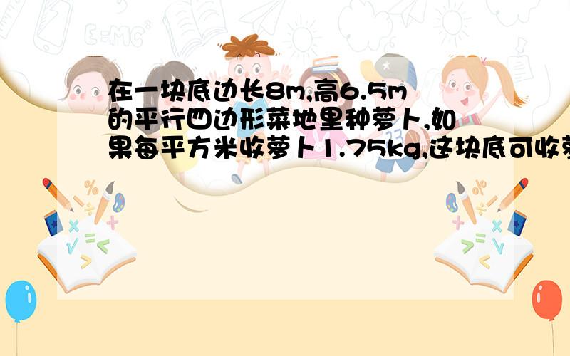 在一块底边长8m,高6.5m的平行四边形菜地里种萝卜,如果每平方米收萝卜1.75kg,这块底可收萝卜多少千克?