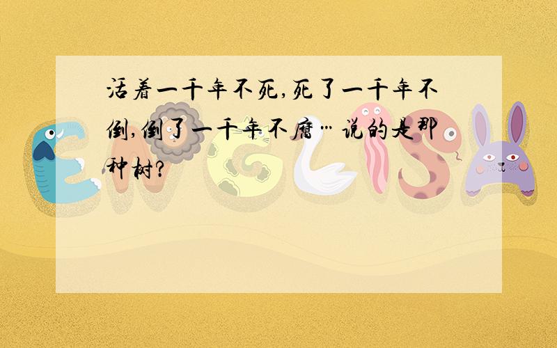 活着一千年不死,死了一千年不倒,倒了一千年不腐…说的是那种树?