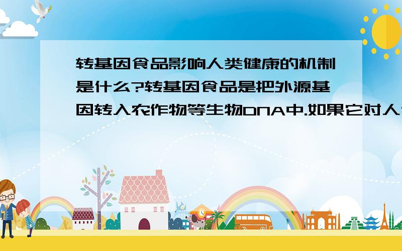 转基因食品影响人类健康的机制是什么?转基因食品是把外源基因转入农作物等生物DNA中.如果它对人体有害,那么想必是因为转入的基因进入了人体,并被整合到人类的DNA中并得到表达.人类摄